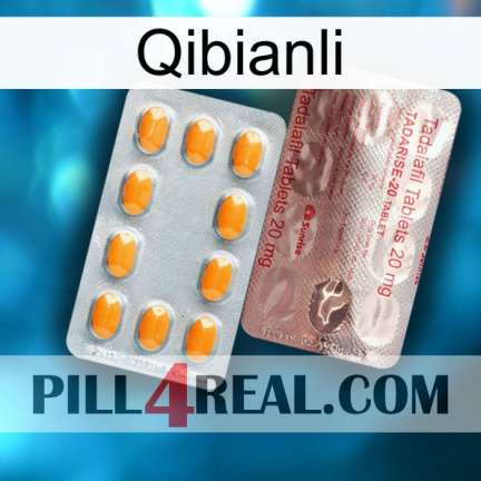 Qibianli new13